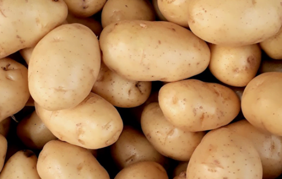 Potatis