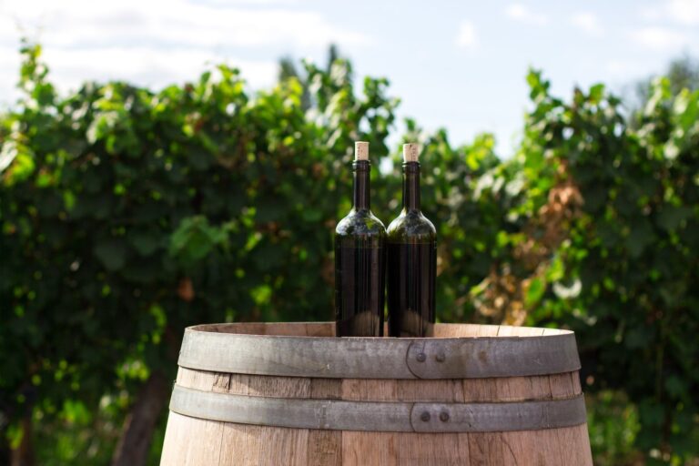 Franciacorta Brut La Fioca 26 4 fantastiska vinregioner som du kanske inte har hört talas om
