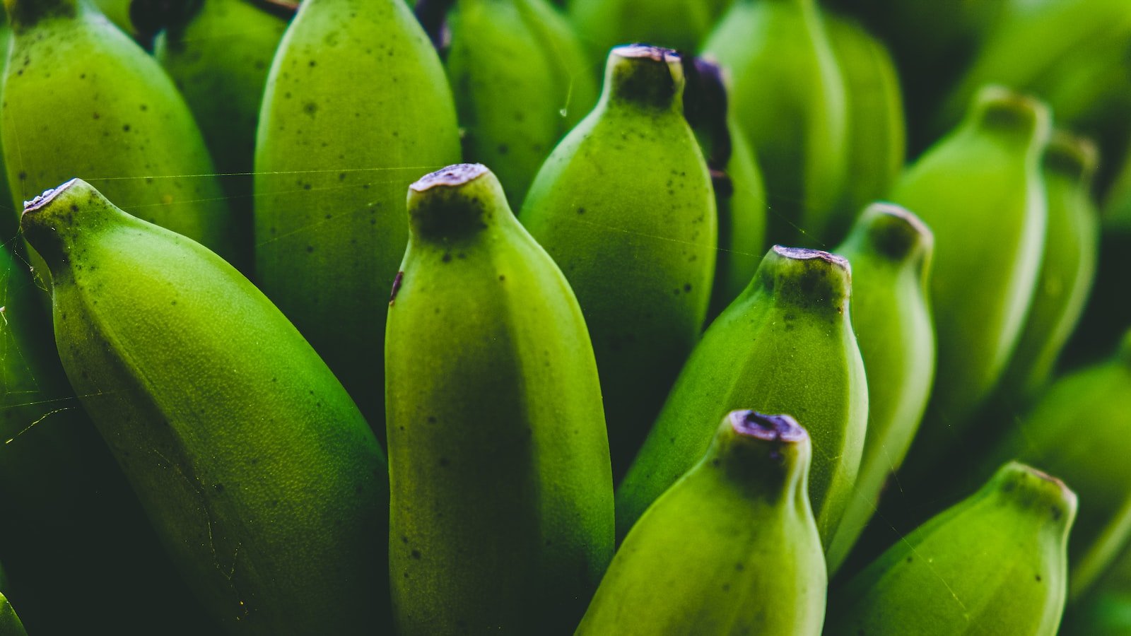 Bananas: nature's health booster