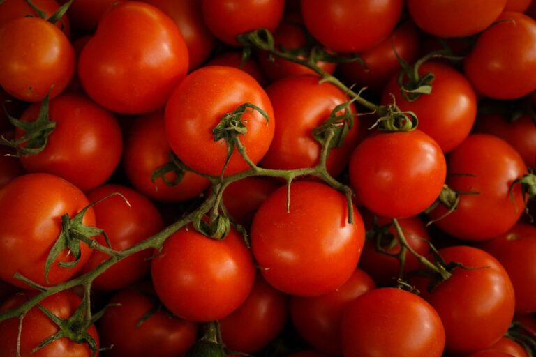 5 vanliga tomatsorter – och vad de passar bäst till