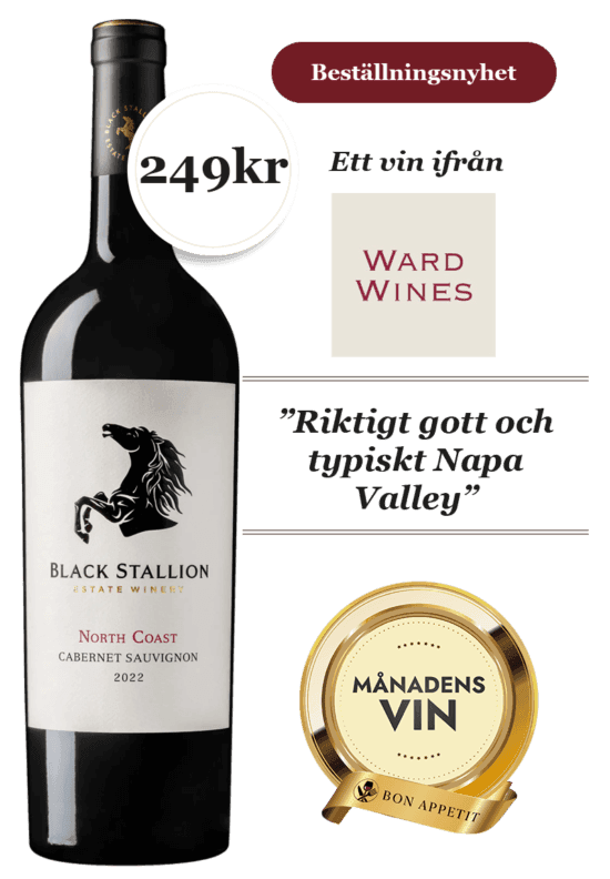 Black Stallion North Coast Cabernet Sauvignon 2022 1