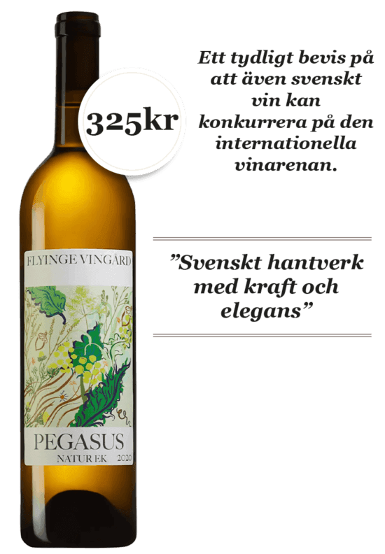 Pegasus Natur Ek Flyinge Vingard