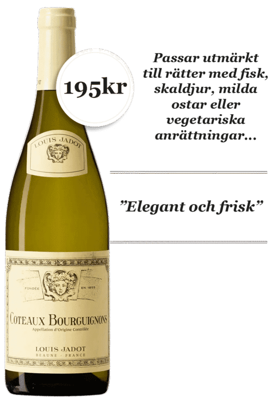 Louis Jadot Coteaux Bourguignons Blanc