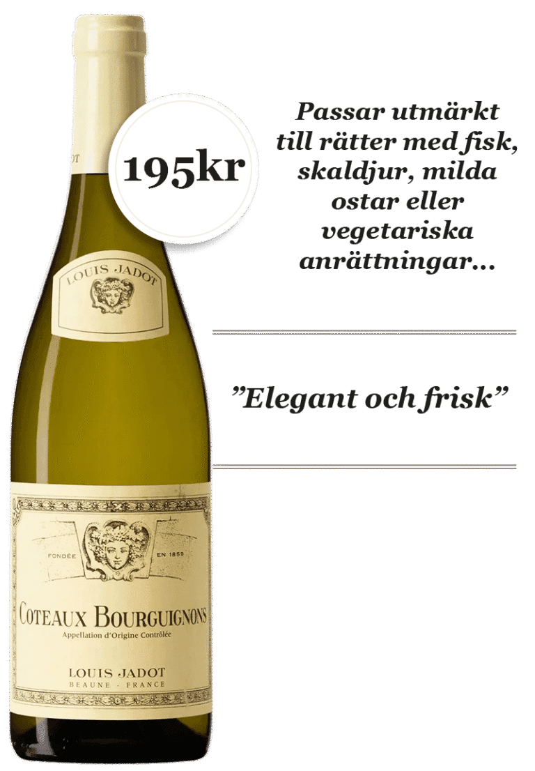 Louis Jadot Coteaux Bourguignons Blanc