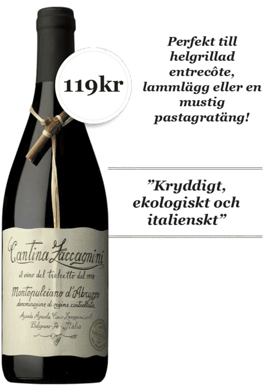 Cantina Zaccagnini Dal Tralcetto Montepulciano dAbruzzo Organic