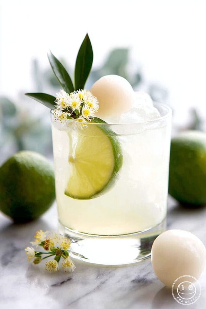 Lychee Lime Fizz mocktail 2