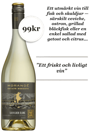Morande Estate Reserve Sauvignon Blanc