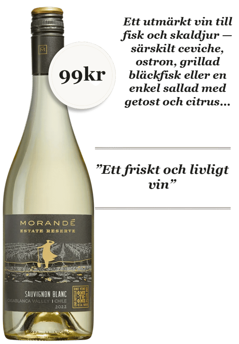 Morandé Estate Reserve Sauvignon Blanc