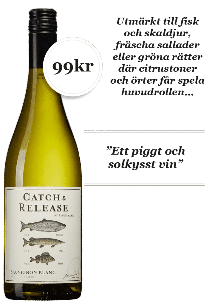 Catch & Release Sauvignon Blanc 1 Catch Release Sauvignon Blanc