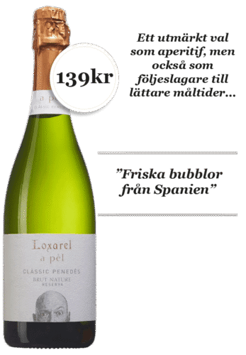 Loxarel A Pel Classic Penedes Brut Nature Reserva