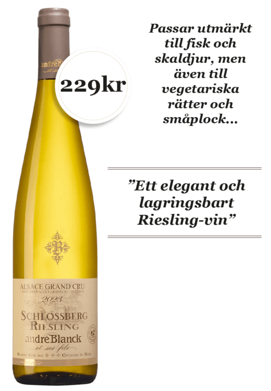Alsace Grand Cru Schlossberg Riesling