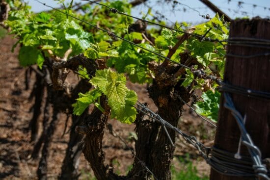 ria truter ESSV7l1fCA4 unsplash