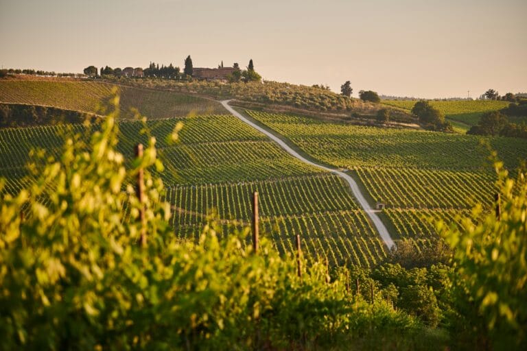 Äntligen får Italien göra alkoholfritt vin