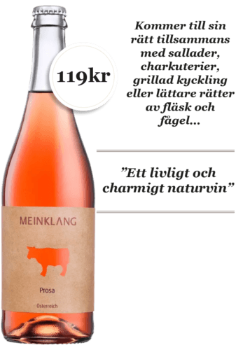 Meinklang Prosa