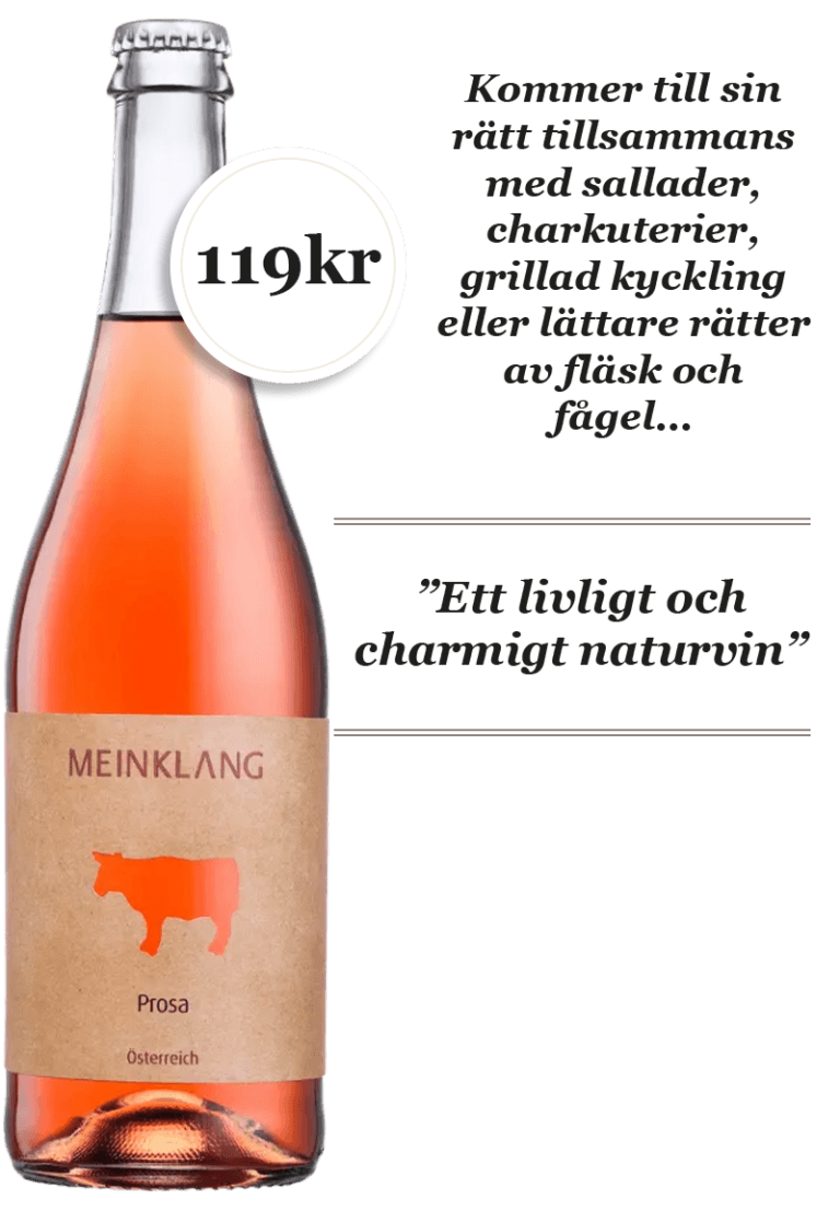 Meinklang Prosa