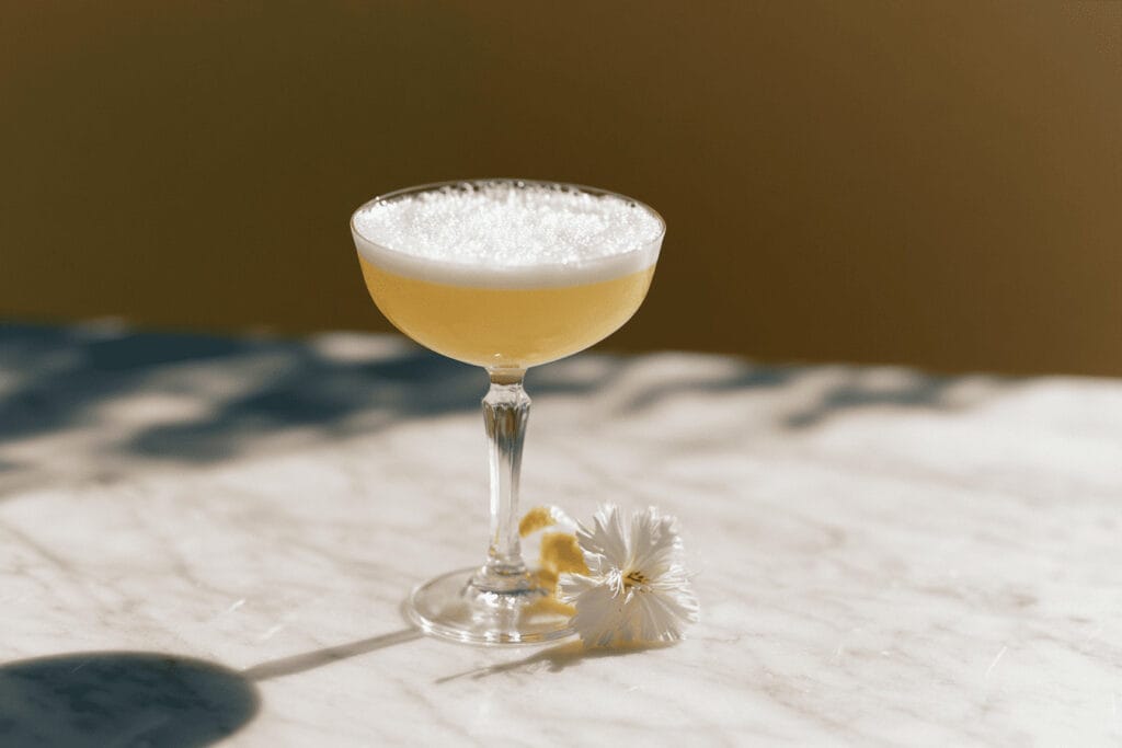catarina konig gin sour fladerskum